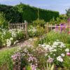 Meadowscaping: Πως δημιουργείς ένα ανθισμένο λιβάδι στην αυλή σου.